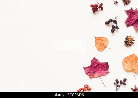 Herbsthintergrund aus Blättern, Beeren und Zapfen. Stockfoto