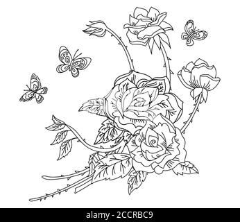 Blumen botanischen Hand gezeichnet Linie Kunst Rose Blume und Schmetterling Komposition. Vektor monochrome Blumenvorlage Illustration für Hochzeit Einladung, vega Stock Vektor