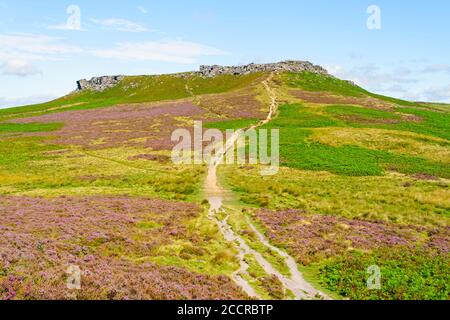 Ein langer gewundener Weg über das Hathersage Moor zum Higger Tor An einem hellen Sommertag Stockfoto