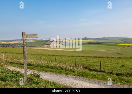 Ein Pathway, der an einem sonnigen Frühlingstag entlang der Felder in den South Downs in Sussex läuft Stockfoto