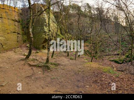 Aufnahme des Arbeitsgesichtes auf einer Lichtung im Yarncliffe Quarry, in der Nähe von Grindleford, Derbyshire, Großbritannien Stockfoto