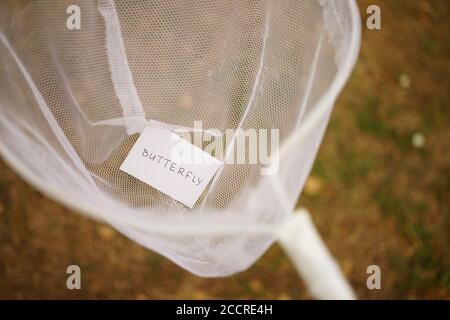 Weißes Schmetterlingsnetz und ein Stück Papier mit dem Text Schmetterling innen. Hobby in der Natur Stockfoto