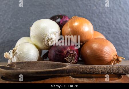 Zwiebeln (Allium cepa). Knollen als Gewürz verwendet. Kulinarische Zutaten. Würze für die Zubereitung von Speisen. Frisches Gemüse. Stockfoto