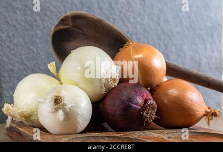 Zwiebeln (Allium cepa). Knollen als Gewürz verwendet. Kulinarische Zutaten. Würze für die Zubereitung von Speisen. Frisches Gemüse. Stockfoto
