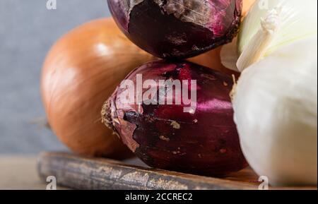 Zwiebeln (Allium cepa). Knollen als Gewürz verwendet. Kulinarische Zutaten. Würze für die Zubereitung von Speisen. Frisches Gemüse. Stockfoto