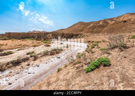 Trockenes Flussbett, Trockenheit, Wassermangel Stockfoto