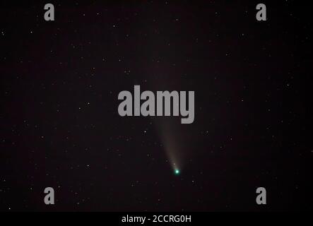 Der helle Komet Neowise fliegt über dem Sommerhimmel Über dem Glanz einer nahe gelegenen Stadt in Kanada Stockfoto