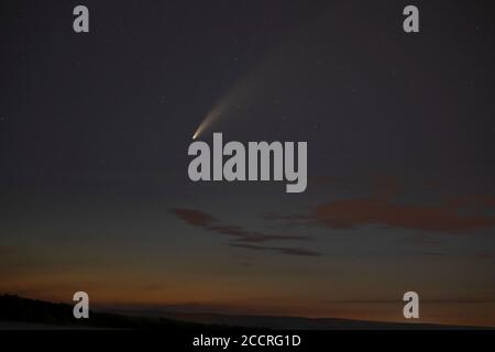 Der helle Komet Neowise fliegt über dem Sommerhimmel Über dem Glanz einer nahe gelegenen Stadt in Kanada Stockfoto