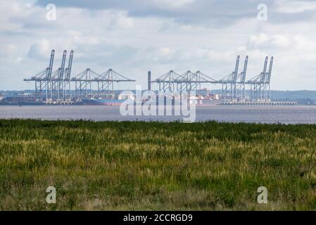 DP World London Gateway Port mit natürlichem Marschland des Thameside Nature Park Stockfoto