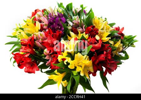 Alstroemeria, gemeinhin als die peruanische Lilie oder Lilie der Inkas. Nahaufnahme von bunten Blumenstrauß von oben im Studio fotografiert, isoliert auf weiß Stockfoto