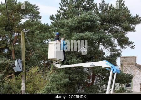 Mitarbeiter von Amey, der das Vegetationsmanagement für Northern Power Grid auf Bäumen rund um Stromleitungen durchführt, County Durham, Großbritannien Stockfoto