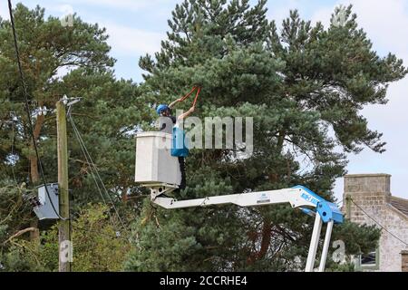 Mitarbeiter von Amey, der das Vegetationsmanagement für Northern Power Grid auf Bäumen rund um Stromleitungen durchführt, County Durham, Großbritannien Stockfoto