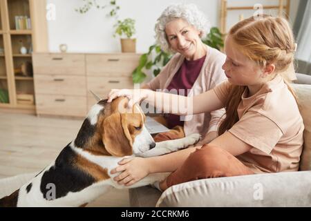 Warm getönte Seitenansicht Porträt von niedlichen Mädchen spielen mit Hund während der Familienzeit in gemütlichen Zuhause Interieur genießen Stockfoto