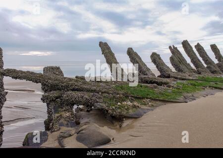 Altes Schiffswrack aus Holz, im Sand begraben Stockfoto