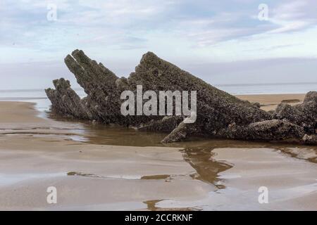 Altes Schiffswrack aus Holz, im Sand begraben Stockfoto