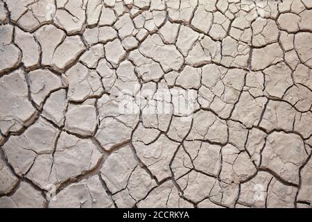 Hintergrund Textur von ausgetrocknten rissigen Schlamm Schmutz Erde verursacht durch Sommer Dürre Stock Foto Bild Stockfoto