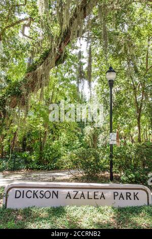 Orlando Florida, Lake Lawsona Historic District, Dickson Azalea Park, Rosearden Drive, lebende Eichenbäume, Schatten, üppige Vegetation, öffentliche Parkanlage Stockfoto