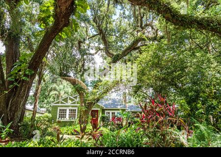 Orlando Florida, Lake Lawsona Historic District, Dickson Azalea Park, Carl T. Langford Park, Rosearden Drive, House Houses Home Homes Residenz, Haus, privat Stockfoto