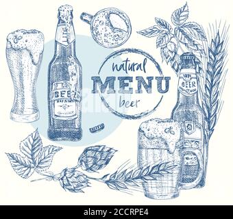 Set Flaschen Handwerk, Bio-Bier, Glas, Weizenohr, Hopfen. Vintage handgezeichnete Skizze Design Bar, Restaurant, Café-Menü realistische Gravur Stil Kreativ Stock Vektor