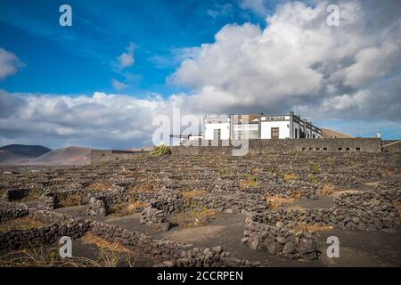 Lanzarote, SPANIEN - 12. Dezember 2017: Weinberge und Weingut La Geria auf vulkanischem Boden auf Lanzarote, Kanarische Inseln. Stockfoto