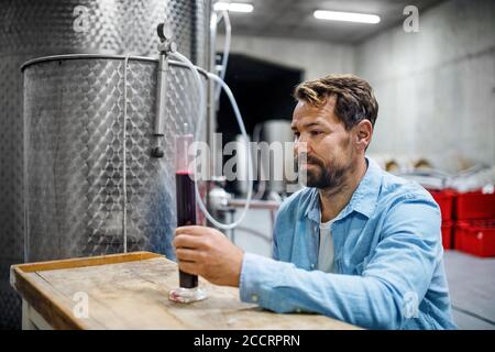 Mann Arbeiter arbeiten drinnen im Keller, Weinbereitung Konzept. Stockfoto