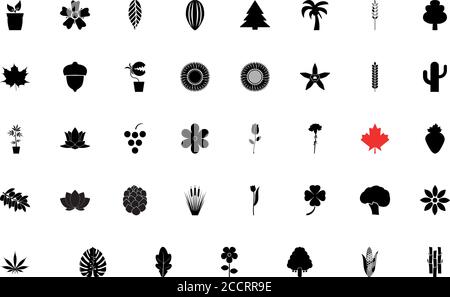 Natur Pflanzen schwarz Farbe Set solide Stil Vektor-Illustration Stock Vektor
