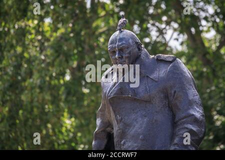 Churchill Statue mit Taube auf dem Kopf, Winston Churchill Bronze im Parliament Square, London, England, Großbritannien Stockfoto