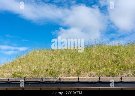 Norwegische Hytte oder Kabine mit blühenden Gras Schwartdach, die Sorgt für eine Isolierung, die sich in die Landschaft einfügt und im Winter Schnee hält - Lenningen Norwegen Stockfoto