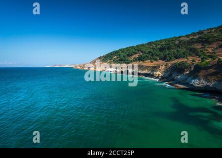 Torrey Pines and Skunk Point, Santa Rosa Island, Channel Islands National Park, California USA Stockfoto