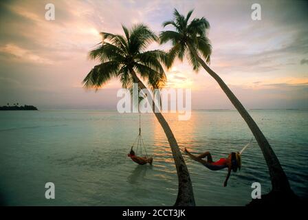 Paar von Palmen hängen über den Indischen Ozean auf den Malediven bei Sonnenuntergang Stockfoto