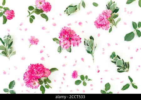 Blumenmuster aus rosa Rosen Blumen und grünen Blättern auf weißem Hintergrund. Flach liegend, Draufsicht Stockfoto