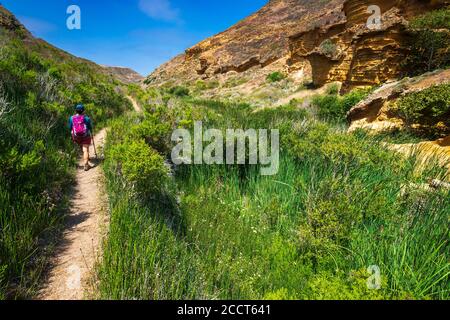 Wanderer in Lobo Canyon, Santa Rosa Island, Channel Islands National Park, Kalifornien USA Stockfoto