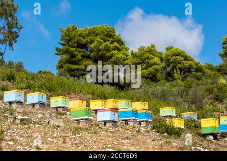 Bunt bemalte Bienenstöcke auf einem Hügel auf der griechischen Insel zakynthos oder Zante Herstellung oder Herstellung von Honig zum Verkauf als lokale Produkte. Stockfoto