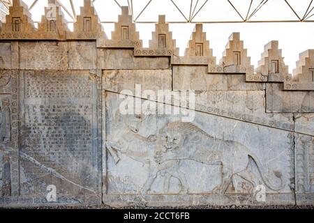 Bas Relief von Löwe und Stier, Persepolis, Iran Stockfoto