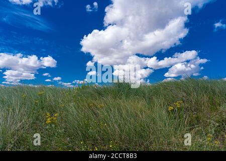 Courseulles-Sur-Mer, Frankreich - 08 04 2020: Juno Beach, Grünes Gras ein wolkiger blauer Himmel Stockfoto