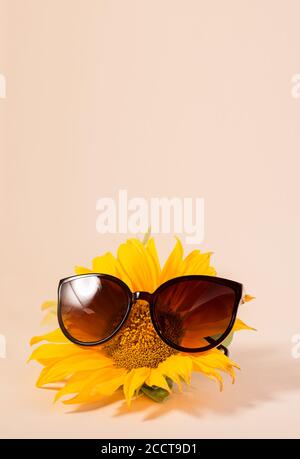 Sonnenblume trägt Sonnenbrille auf beigem Papier Hintergrund. Minimalistisches, trendiges Stillleben. Gut für Sommer Verkauf Banner. Stockfoto