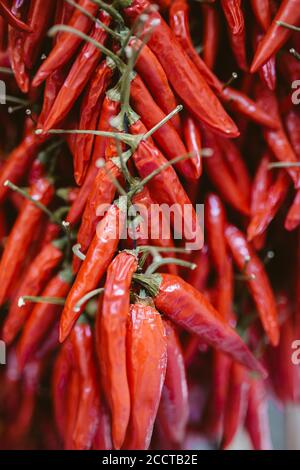 Ein paar rote Chilischoten auf dem Markt Stockfoto