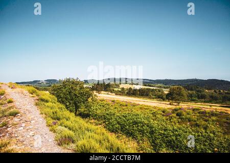 Blick von oben auf üppige Waldlandschaft gegen blauen Himmel Stockfoto