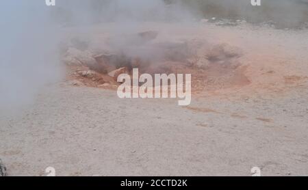 Spätfrühling im Yellowstone National Park: Blick in den Krater des Red Spouter Mud Pot der Brunnengruppe des Lower Geyser Basin Stockfoto