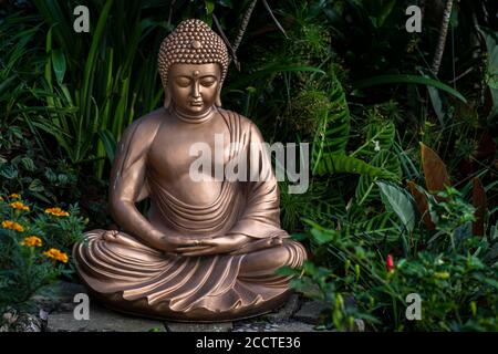 Goldener Buddha in einem grünen Garten Stockfoto