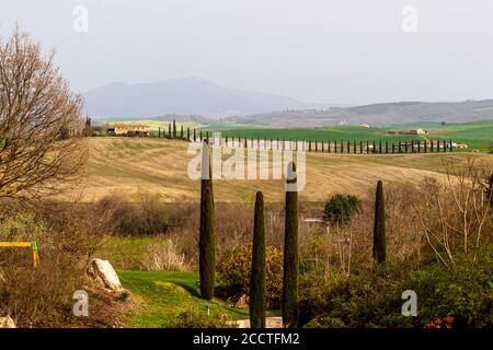 Hügel, Zypressen, Felder, Entspannung ... Toskanische Landschaft im Frühling, grüne Felder, Zypressen und Olivenbäume, Wandern in der Toskana, Bagno Vignoni, Val d'Orcia, Italien. UNESCO-Weltkulturerbe Stockfoto