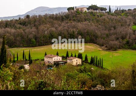 Hügel, Zypressen, Felder, Entspannung ... Toskanische Landschaft im Frühling, grüne Felder, Zypressen und Olivenbäume, Wandern in der Toskana, Bagno Vignoni, Val d'Orcia, Italien. UNESCO-Weltkulturerbe Stockfoto