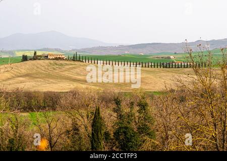 Hügel, Zypressen, Felder, Entspannung ... Toskanische Landschaft im Frühling, grüne Felder, Zypressen und Olivenbäume, Wandern in der Toskana, Bagno Vignoni, Val d'Orcia, Italien. UNESCO-Weltkulturerbe Stockfoto