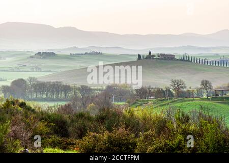 Hügel, Zypressen, Felder, Entspannung ... Toskanische Landschaft im Frühling, grüne Felder, Zypressen und Olivenbäume, Wandern in der Toskana, Bagno Vignoni, Val d'Orcia, Italien. UNESCO-Weltkulturerbe Stockfoto