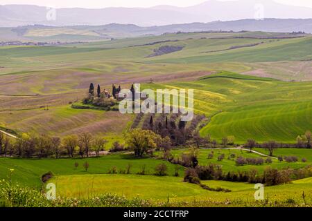 Hügel, Zypressen, Felder, Entspannung ... Toskanische Landschaft im Frühling, grüne Felder, Zypressen und Olivenbäume, Wandern in der Toskana, Bagno Vignoni, Val d'Orcia, Italien. UNESCO-Weltkulturerbe Stockfoto