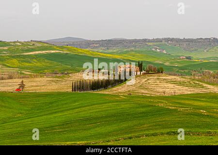 Hügel, Zypressen, Felder, Entspannung ... Toskanische Landschaft im Frühling, grüne Felder, Zypressen und Olivenbäume, Wandern in der Toskana, Bagno Vignoni, Val d'Orcia, Italien. UNESCO-Weltkulturerbe Stockfoto