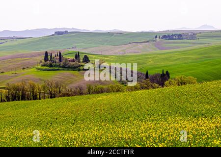 Hügel, Zypressen, Felder, Entspannung ... Toskanische Landschaft im Frühling, grüne Felder, Zypressen und Olivenbäume, Wandern in der Toskana, Bagno Vignoni, Val d'Orcia, Italien. UNESCO-Weltkulturerbe Stockfoto