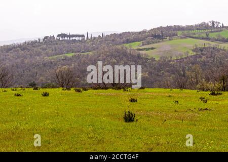 Toskanische Landschaft im Frühjahr, grüne Felder, cypreses und Olivenbäumen, Wandern in der Toskana, Val d'Orcia Italien, UNESCO Weltkulturerbe Stockfoto