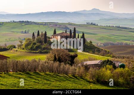 Ein toskanisches Landgut krönt einen Hügel in der Val d'Orcia, eingerahmt von einer geschwungenen Allee aus Zypressen. Olivenhaine und grüne Wiesen prägen die Frühlingslandschaft. Die Region südlich von Siena ist seit 2004 UNESCO-Weltkulturerbe, Toskana, Italien. Stockfoto