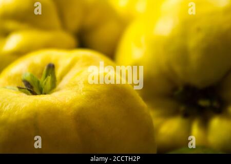 Große gelbe Quinzfrüchte auf einer Keramikplatte mit Anis, Zimt und Walnüssen Stockfoto